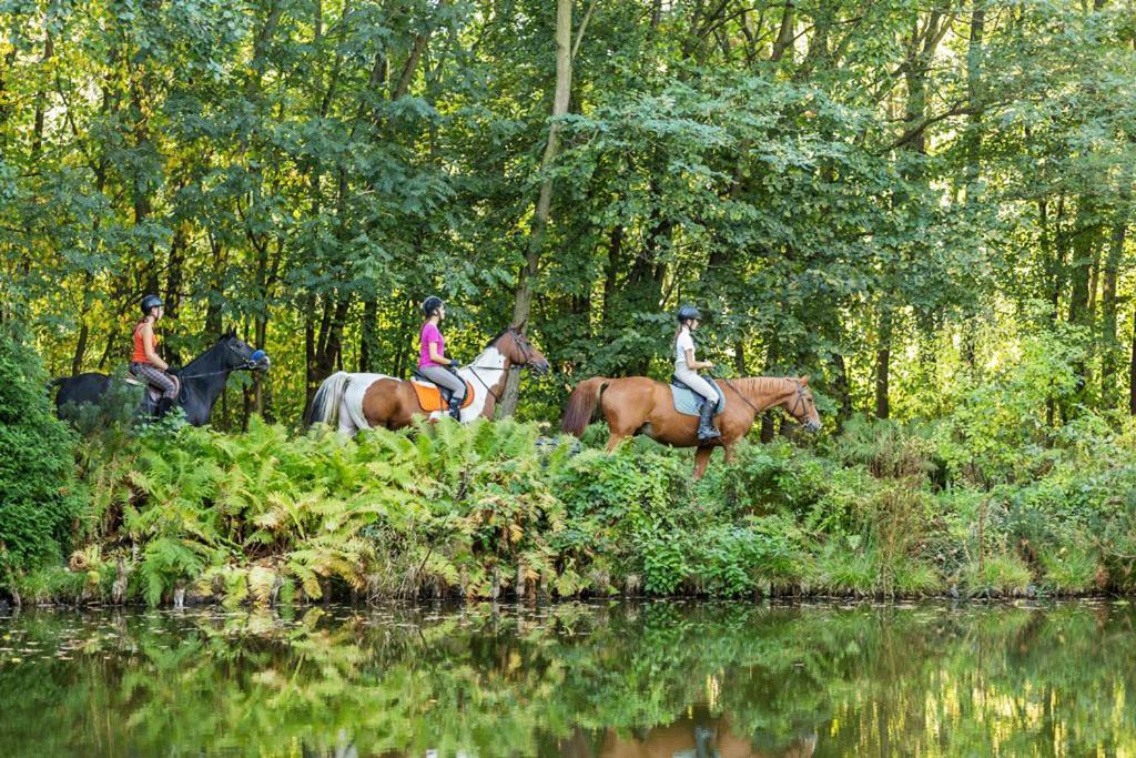 Rancho Slezanski Mlyn Szczepanów Eksteriør bilde