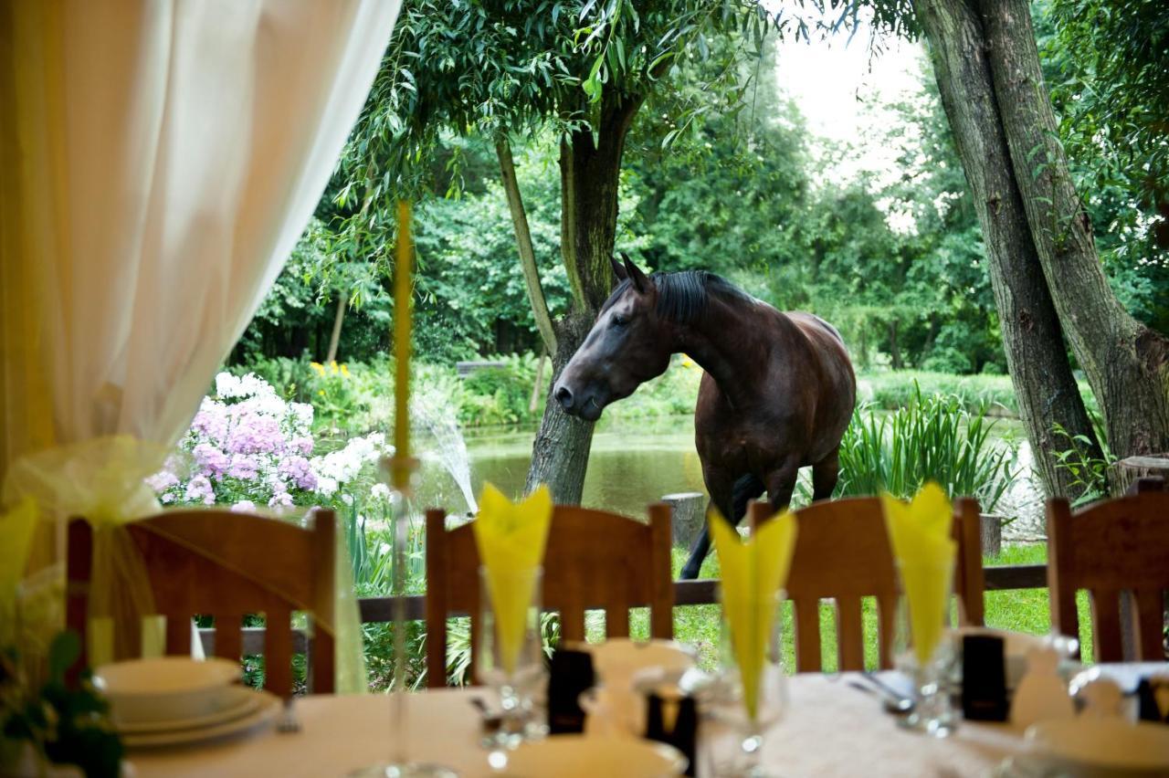 Rancho Slezanski Mlyn Szczepanów Eksteriør bilde